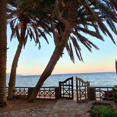 Dahab House Apartment Sea エクステリア 写真