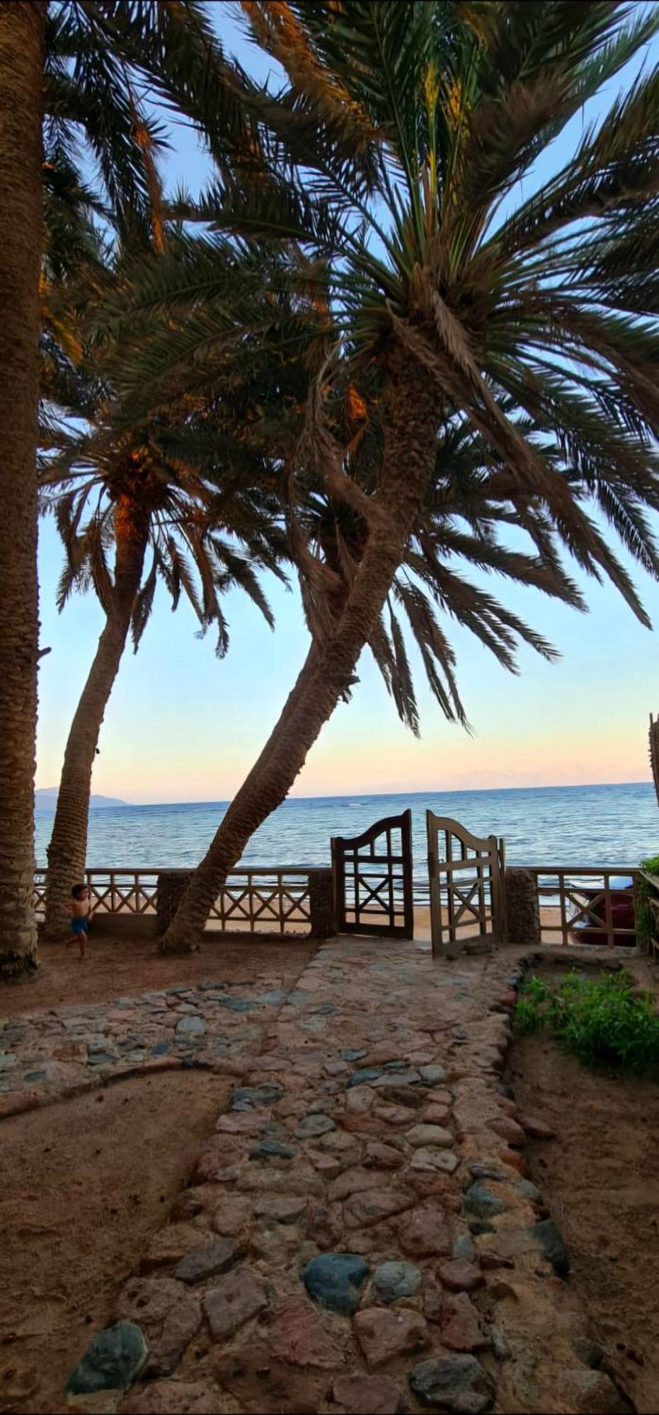 Dahab House Apartment Sea エクステリア 写真